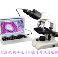 电子目镜长级双目显微镜