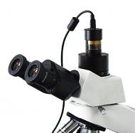 电子目镜长级双目显微镜