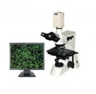 CMY-400Z摄像型透反射金相显微镜