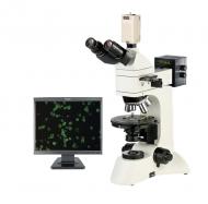 PL-180SMN摄像型科研级透反射偏光显微镜