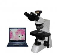 BL-160Z科研级三目摄像生物显微镜