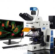 研究级正置荧光显微镜FR-50A
