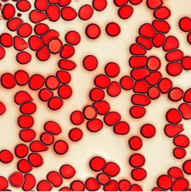 血细胞.png