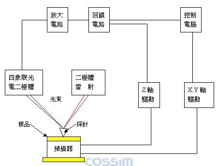 原子力显微镜（AFM）的结构示意图