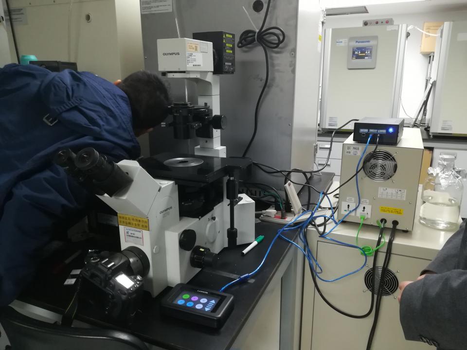 IS系列荧光显微镜LED多波段定制激发光源