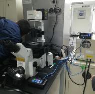 IS系列荧光显微镜LED多波段定制激发光源