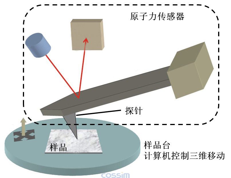 原子力显微镜的原理示意图