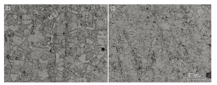 固溶处理后样品的金相组织