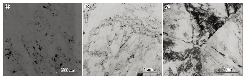 980℃固溶处理后室温拉伸变形组织的TEM像