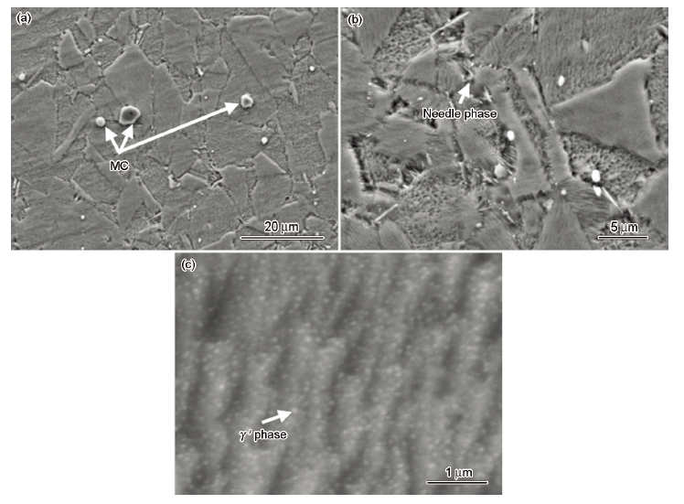 900℃固溶处理后合金的显微组织