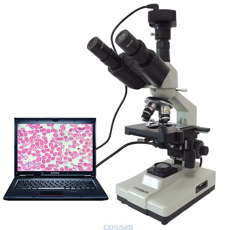 XSP-100SM生物显微镜  多功能生物显微镜 数码型生物镜
