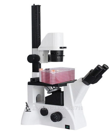 BLD-220CF 长工作距离倒置生物细胞工厂显微镜