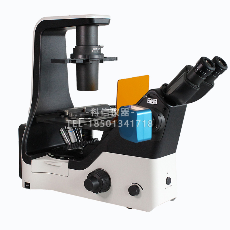 FRD-420科研级三目倒置荧光显微镜细胞观察