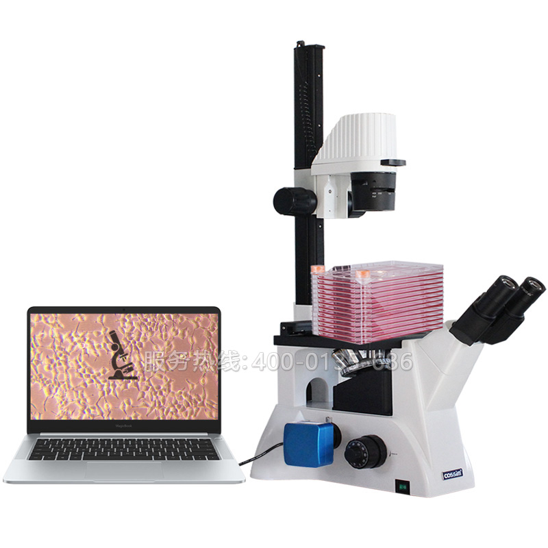 BLD-220CF 细胞工厂显微镜长工作距离倒置生物显微镜