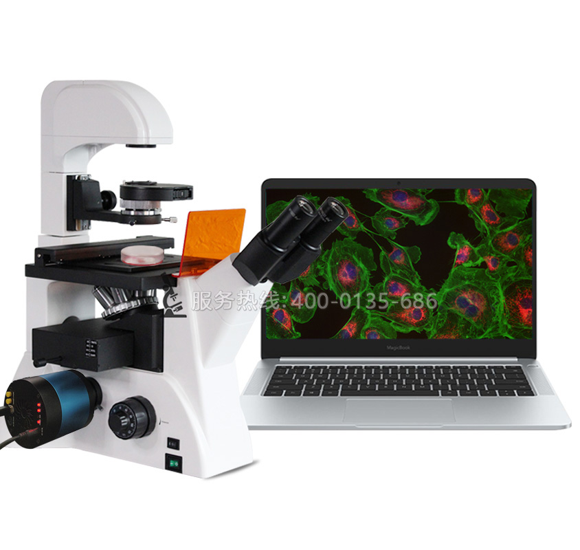 FRD-6CL科研级倒置荧光显微镜LED三波段荧光激发DAPI FITC