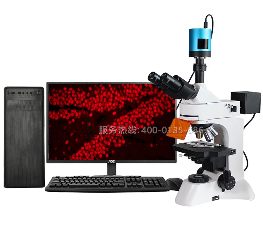 FR-3CL科研级三目落射荧光显微镜LED定制款