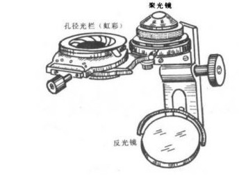 阿贝聚光镜（Abbe condenser）