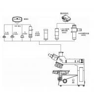 显微成像系统连接示意图片
