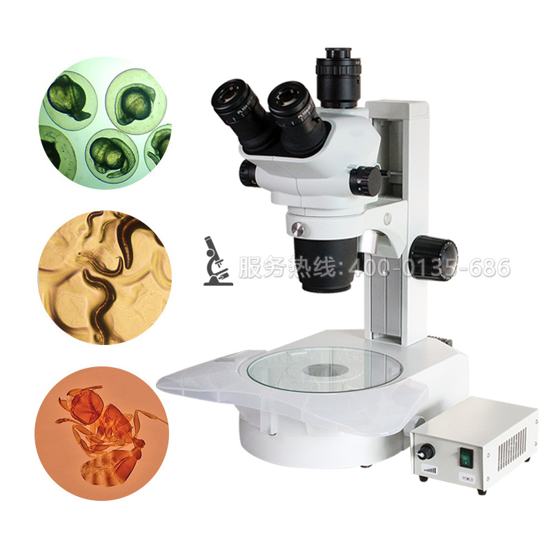 SRP-870A科研级解剖体视显微镜斑马鱼线虫植物病虫分析